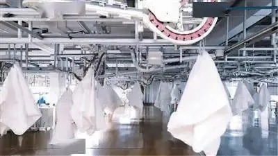 樂爾馨家紡工廠在哪里？揭秘其背后的故事與文化